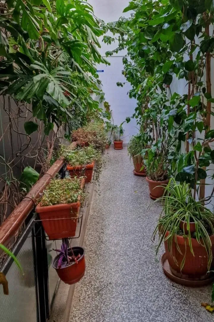 Izdavanje, dvosoban stan, 58m², Centar, Bar