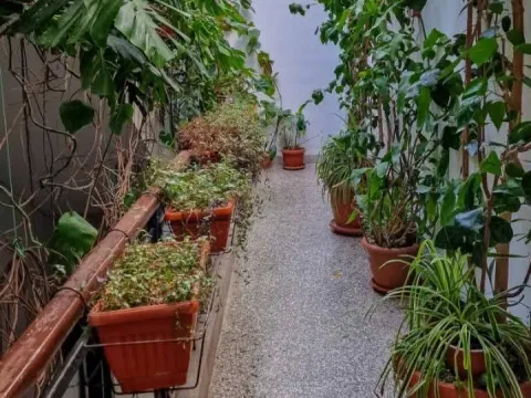 Rent, two bedroom apartment, 58m², Centar, Bar - image 14