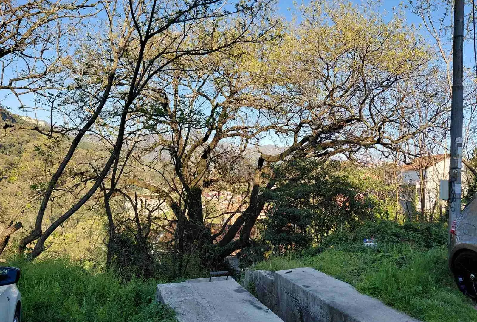 Prodaja, plac, 376m², Centar, Herceg Novi