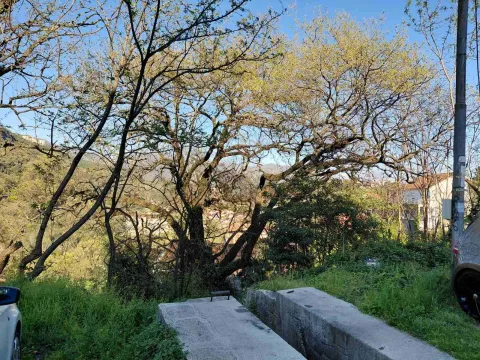 Prodaja, plac, 376m², Centar, Herceg Novi - image 2