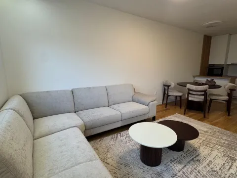 Izdavanje, dvosoban stan, 68m², Central Point, Podgorica - image 3