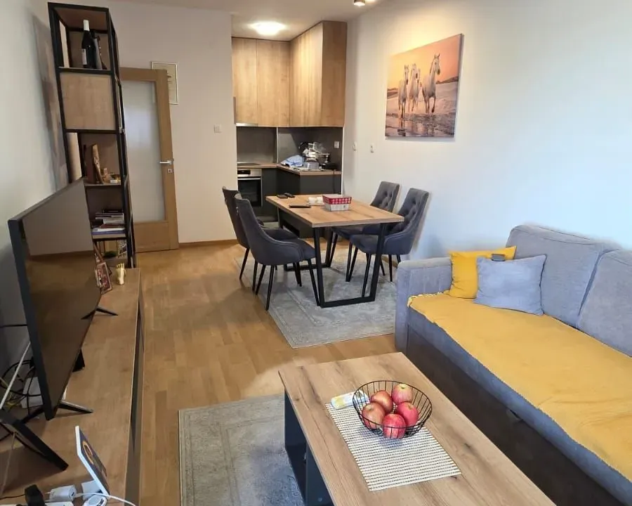 Sale, one bedroom apartment, 46m², Pobrežje, Podgorica