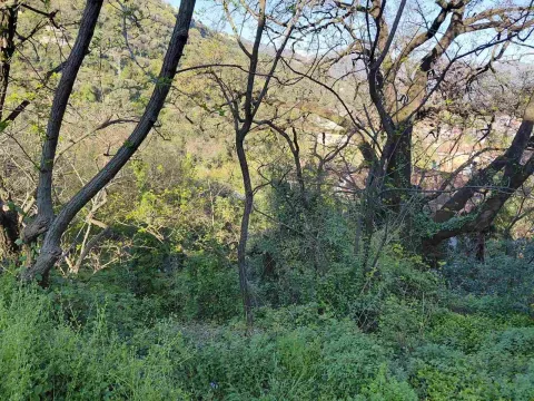Prodaja, plac, 376m², Centar, Herceg Novi - image 9