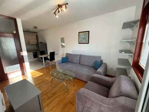 Rent, one bedroom apartment, 40m², Ljubović, Podgorica - image 1