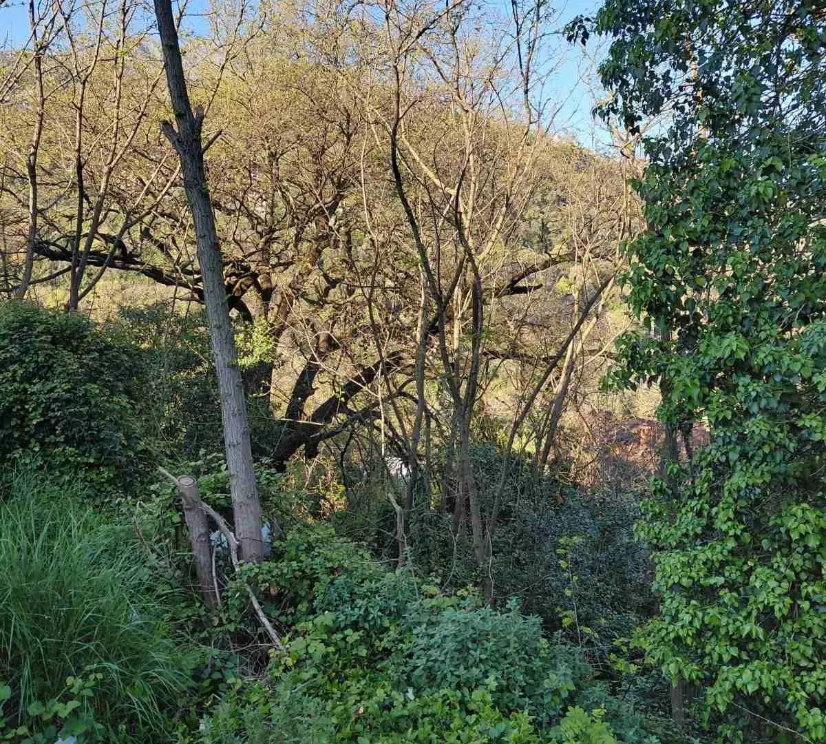 Prodaja, plac, 376m², Centar, Herceg Novi