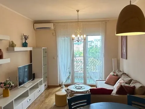 Izdavanje, jednosoban stan, 45m², Blok 9, Podgorica - image 2