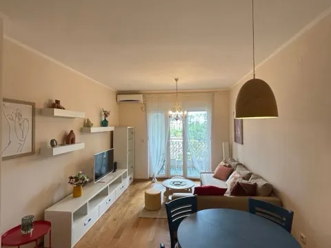 Izdavanje, jednosoban stan, 45m², Blok 9, Podgorica - image 7