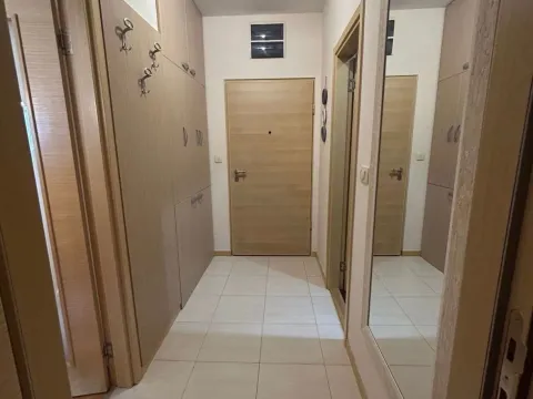 Izdavanje, jednosoban stan, 45m², Blok 9, Podgorica - image 11