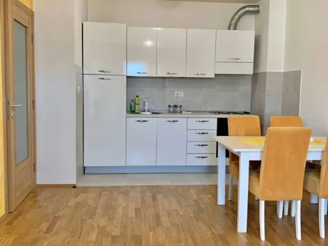 Izdavanje, jednosoban stan, 46m², Stari Aerodrom, Podgorica - image 2
