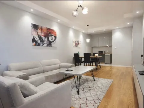 Izdavanje, jednosoban stan, 50m², Central Point, Podgorica - image 2