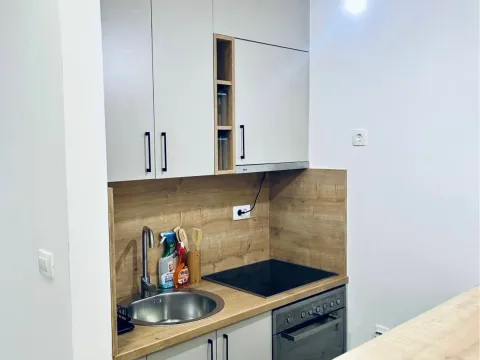 Rent, studio apartment, 30m², Vezirov Most, Podgorica - image 4