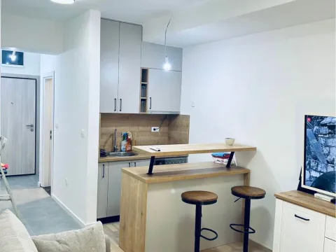 Rent, studio apartment, 30m², Vezirov Most, Podgorica - image 2