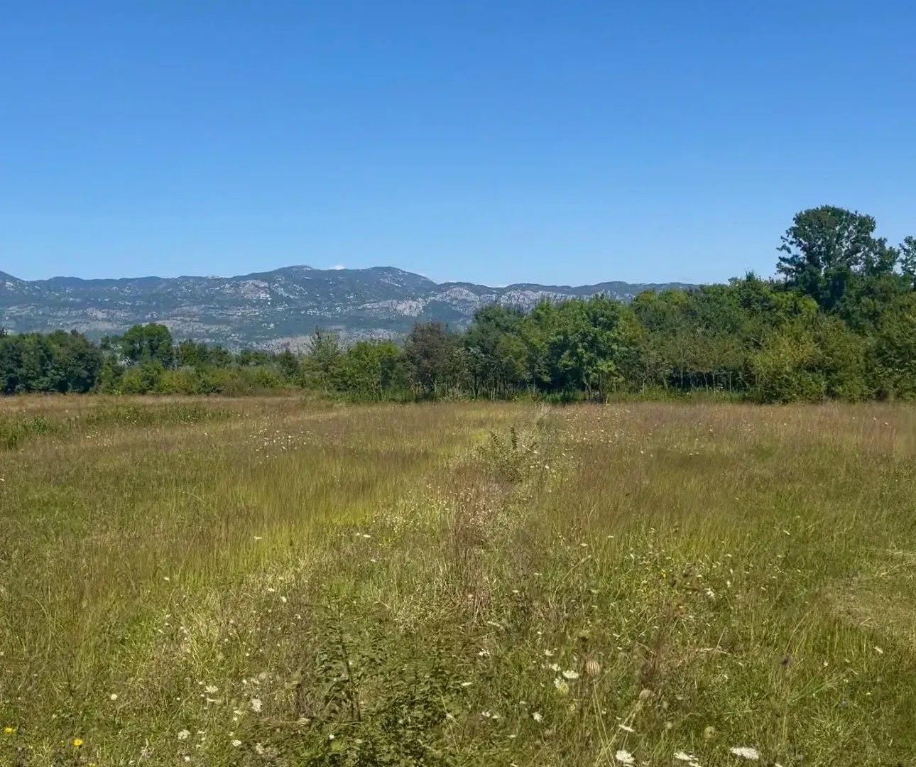 Prodaja, plac, 5554m², Jastreb, Danilovgrad
