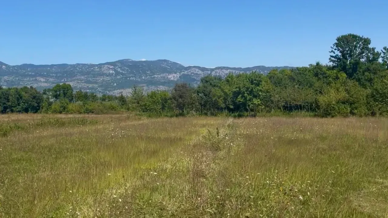 Sale, land lot, 5554m², Jastreb, Danilovgrad