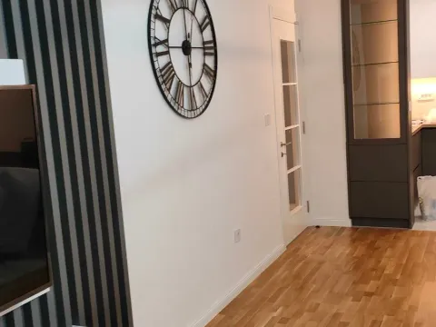 Izdavanje, jednosoban stan, 62m², Pejton, Podgorica - image 7