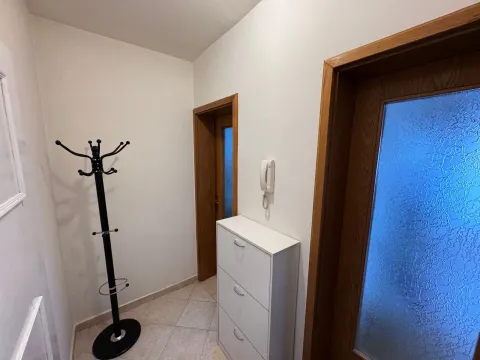 Rent, one bedroom apartment, 45m², Stari Aerodrom, Podgorica - image 11