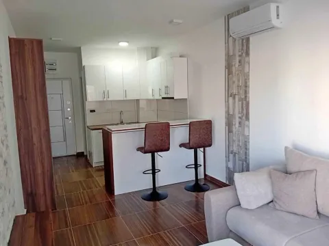 Izdavanje, garsonjera, 30m², Central Point, Podgorica - image 6