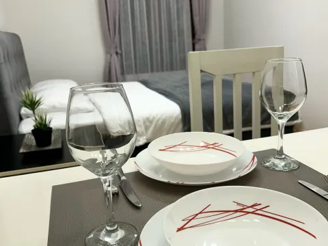 Stan-na-dan, garsonjera, 22m², City Kvart, Podgorica - image 8