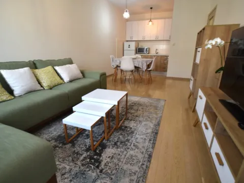 Izdavanje, jednosoban stan, 46m², City Kvart, Podgorica - image 3