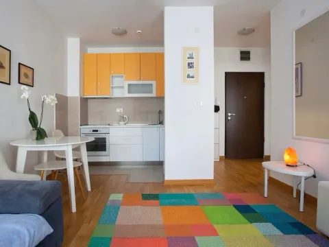 Izdavanje, jednosoban stan, 45m², Zagorič, Podgorica - image 2