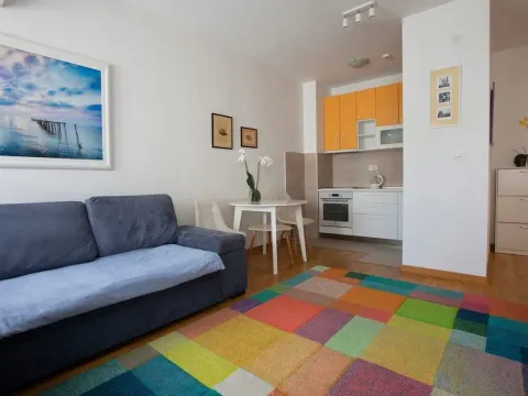 Izdavanje, jednosoban stan, 45m², Zagorič, Podgorica - image 3