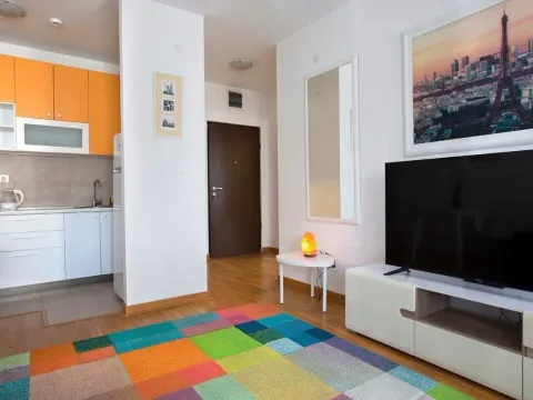 Izdavanje, jednosoban stan, 45m², Zagorič, Podgorica - image 4