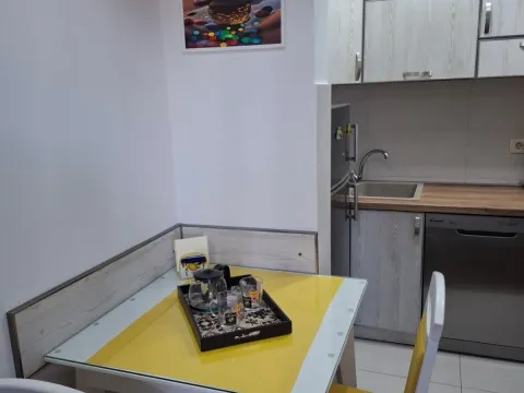 Rent, studio apartment, 30m², Stara Varoš, Podgorica - image 2