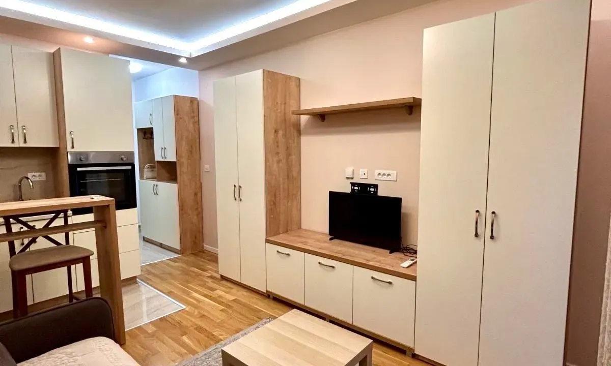 Rent, studio apartment, 24m², Zabjelo, Podgorica
