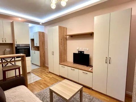 Rent, studio apartment, 24m², Zabjelo, Podgorica - image 1