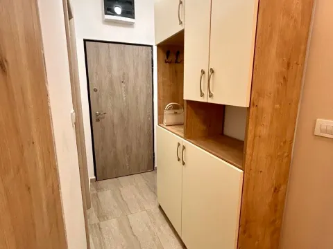 Rent, studio apartment, 24m², Zabjelo, Podgorica - image 6