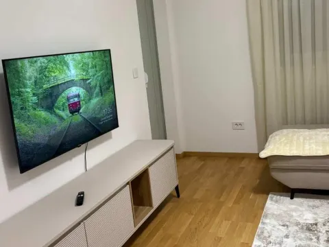 Izdavanje, jednosoban stan, 47m², Stari Aerodrom, Podgorica - image 5