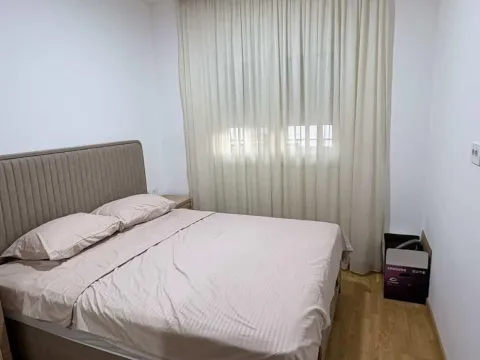 Izdavanje, jednosoban stan, 47m², Stari Aerodrom, Podgorica - image 4