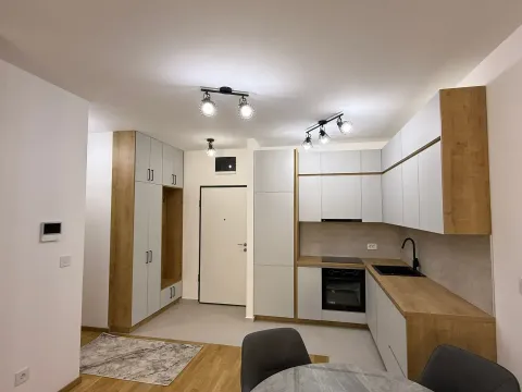 Izdavanje, jednosoban stan, 47m², Stari Aerodrom, Podgorica - image 6