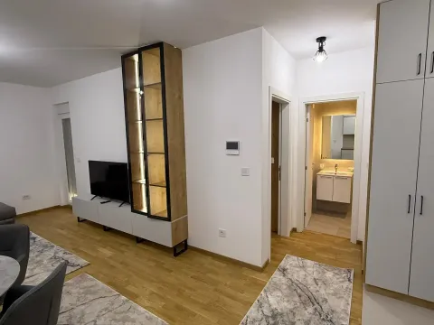 Izdavanje, jednosoban stan, 47m², Stari Aerodrom, Podgorica - image 2