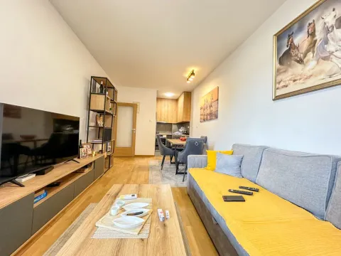 Prodaja, jednosoban stan, 46m², Zabjelo, Podgorica - image 2