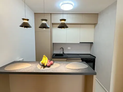 Izdavanje, jednosoban stan, 39m², Tološi, Podgorica - image 3