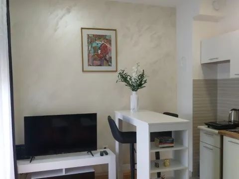 Daily-rent, one bedroom apartment, 25m², Centar, Cetinje - image 3