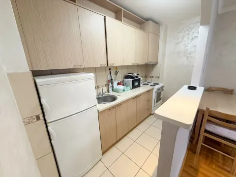 Izdavanje, jednosoban stan, 44m², Stari Aerodrom, Podgorica - image 4