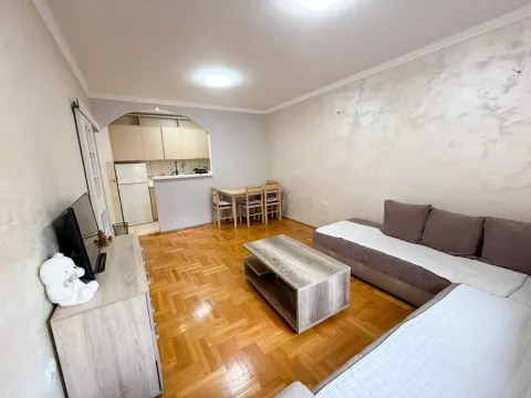 Izdavanje, jednosoban stan, 44m², Stari Aerodrom, Podgorica - image 3