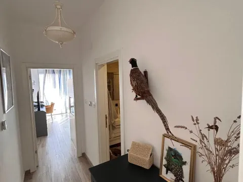 Prodaja, dvosoban stan, 83m², Dobre Vode, Bar - image 13
