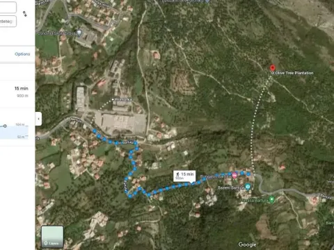 Sale, land lot, 10000m², Centar, Bar - image 5