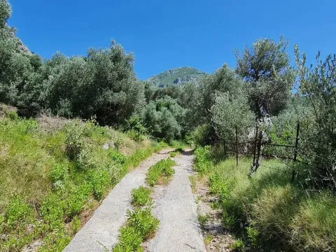 Sale, land lot, 10000m², Centar, Bar - image 4