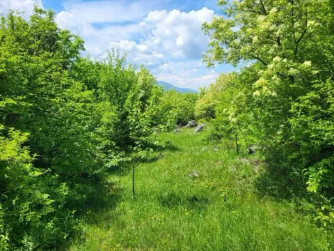 Prodaja, plac, 160000m², Centar, Nikšić - image 7