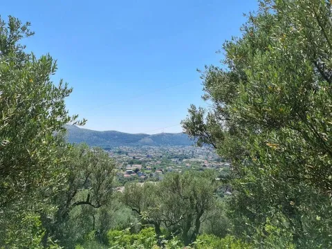 Sale, land lot, 10000m², Centar, Bar - image 3