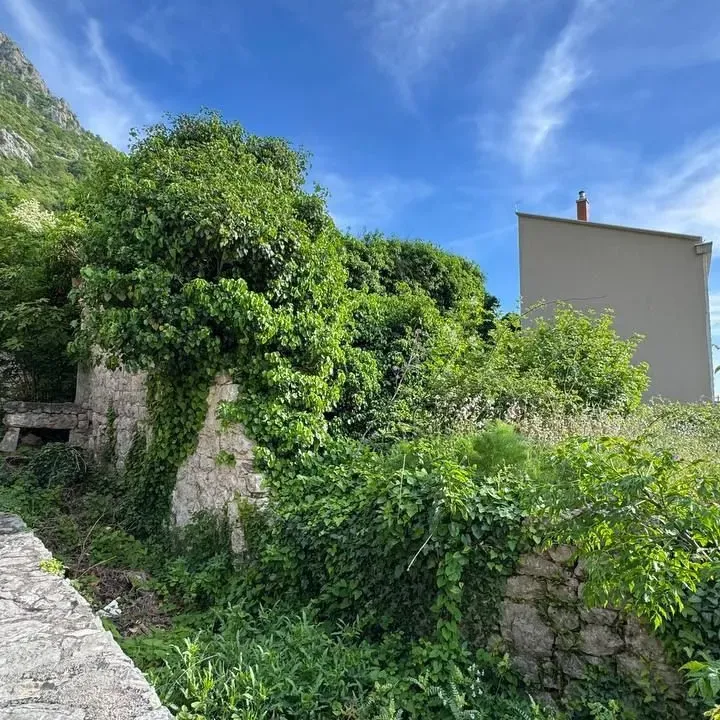 Prodaja, plac, 503m², Centar, Budva