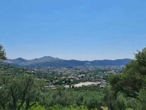 Sale, land lot, 10000m², Centar, Bar - image 2