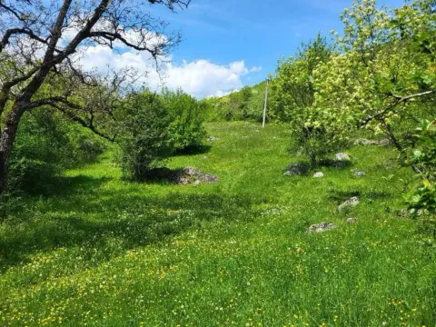 Prodaja, plac, 160000m², Centar, Nikšić - image 2