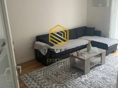 Izdavanje, jednosoban stan, 40m², Zabjelo, Podgorica - image 9