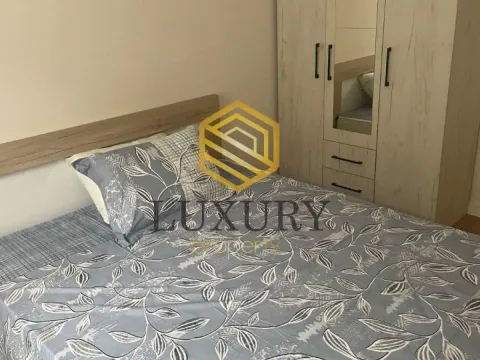 Izdavanje, jednosoban stan, 40m², Zabjelo, Podgorica - image 11
