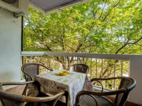 Prodaja, jednosoban stan, 46m², Topla, Herceg Novi - image 2